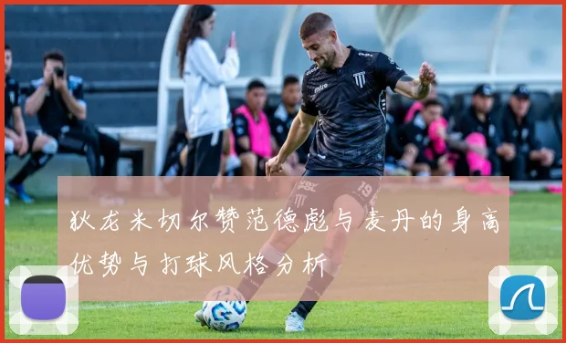 狄龙米切尔赞范德彪与麦丹的身高优势与打球风格分析