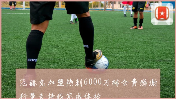 范赫克加盟热刺6000万转会费感谢科曼支持我完成体检